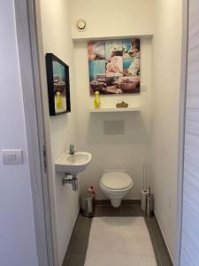Appartamento ideal في تيلت: حمام صغير مع مرحاض ومغسلة