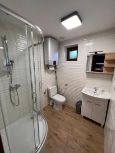 a bathroom with a shower and a toilet and a sink at Domki Mucharskie in Mucharz +19 photos