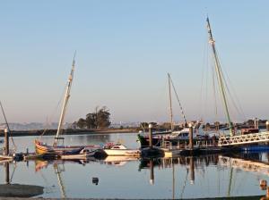 a group of boats are docked in a harbor at Seixal Yachting Bay Apartments in Seixal