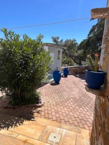 a group of blue potted plants on a brick patio at πετρινη κατοικια in Vári