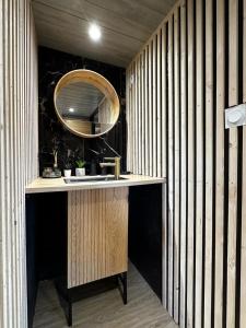 ein Bad mit einem Waschbecken und einem Spiegel in der Unterkunft La Cabane D'Emma Spa&Sauna privé in Bannalec