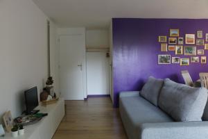 a living room with a couch and a purple wall at Studio charmant au calme in Aix-en-Provence