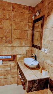 a bathroom with a sink and a mirror at Jílová tvrz in Rožmberk nad Vltavou