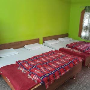 two beds in a room with green walls at Hotel Gayatri Guest House Haridwar Near Railway Station - Ganga Ghat - Best Hotel in Haridwar in Haridwār