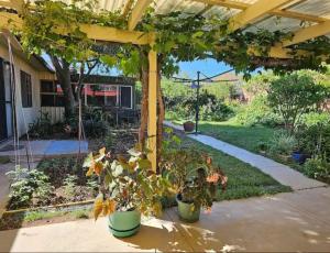 a garden with two potted plants under a pergola at Cosy Unit at Modbury in Modbury