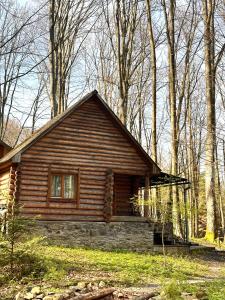 a small log cabin in the woods with trees at База відпочинку ШИПОВЕЦЬ in Poroškov