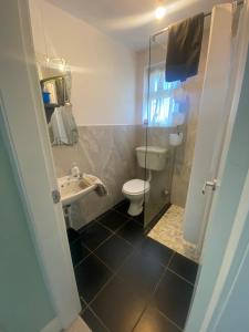 ein Bad mit einem WC, einem Waschbecken und einer Dusche in der Unterkunft Ceecliff flat in Culdaff