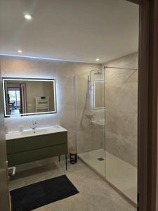 a bathroom with a shower and a sink and a mirror at l'appart' in Marseille