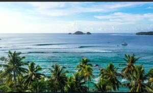 uma vista para o oceano com palmeiras e um barco em Sunset Surf Villas em Tua Pejat