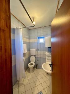 ein Bad mit einem WC und einem Waschbecken in der Unterkunft Martina in Cetinje