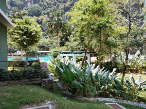 a garden with a picnic table and some plants at Peace Homestay in Kampong Batu Lapan