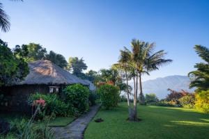 a garden with a hut and palm trees and a lawn at Hotel Bambu in Santiago Atitlán