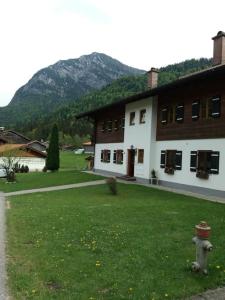 a fire hydrant in the grass in front of a building at Apartment in den bayerischen Alpen, für Naturliebhaber in Schneizlreuth
