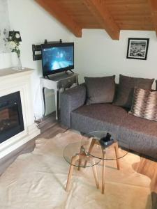 a living room with a couch and a tv at Apartment in den bayerischen Alpen, für Naturliebhaber in Schneizlreuth