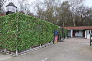 una grande siepe verde con fiori rosa di fronte a un edificio di 4 Sisters Inn a Theydon Bois