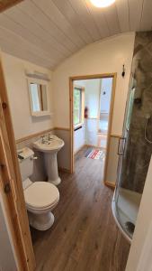 a bathroom with a toilet and a sink and a shower at Shepherd's View in Ross on Wye