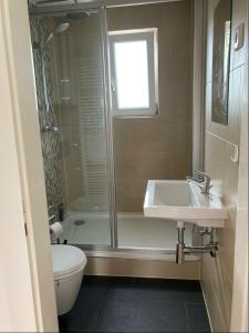 uma casa de banho com um chuveiro, um lavatório e um WC. em Appartment23 em Karlsruhe