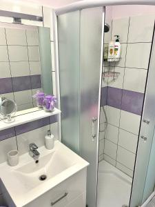 a bathroom with a sink and a shower at TENA in Kukuljanovo