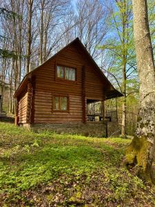 a small log cabin in the woods at База відпочинку ШИПОВЕЦЬ in Poroškov