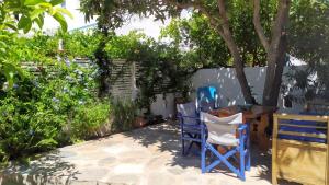 A garden outside Almond trees house