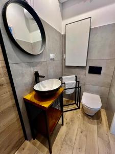 a bathroom with a sink and a toilet and a mirror at LOFT Słowackiego in Wałbrzych