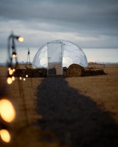 an igloo is sitting in the middle of a field at Helja Stay Glamping Domes in Hella