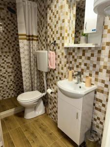 a bathroom with a toilet and a sink at Apartman Krejović in Arandjelovac