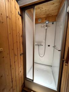 eine Dusche im Bad mit Glasfenster in der Unterkunft Duplex Belles Challes in Bourg-Saint-Maurice