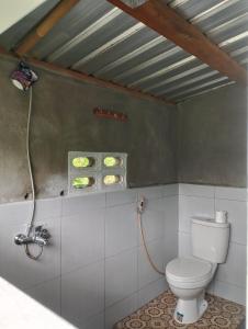 a bathroom with a toilet and a shower at The Alam Tetebatu Bungalow & Restaurant in Tetebatu