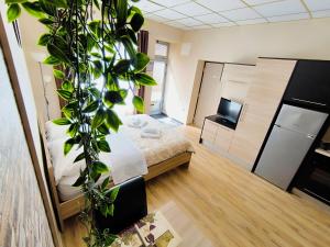 a room with a bed and a plant in it at Prestige Apartments in Zadar