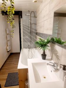 a bathroom with a sink and a shower at Cottage le Ni-La in Fresse-sur-Moselle
