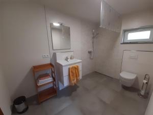 a bathroom with a sink and a toilet at Haus am Südhang in Bad Gottleuba