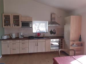 a kitchen with a refrigerator and a stove top oven at Haus am Südhang in Bad Gottleuba
