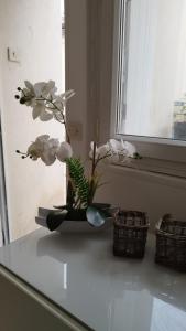 a vase with white flowers on a counter next to a window at Le Bangor Coon in Forges