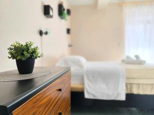 a potted plant sitting on top of a counter at Prestige Apartments in Zadar