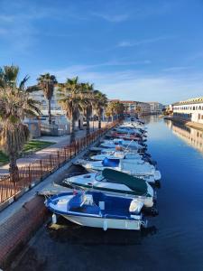 a row of boats docked in a canal with palm trees at Le duplex panoramic sur Mer et Lido in Sète