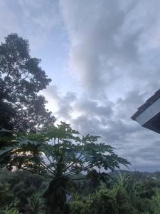 un árbol delante de un cielo nublado en Rumah Pemandangan Pegunungan & sawah, en Banyumas