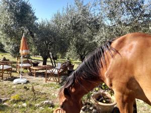 Φωτογραφία από το άλμπουμ του Nostro Paradiso σε Monteleone Sabino