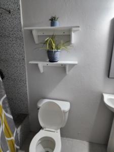 a bathroom with a toilet and a plant on shelves at Sunsetcrest Tranquil Getaway in Castries