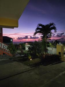 Sunsetcrest Tranquil Getaway في Anse La Raye: نخلة في ساحة مع غروب الشمس