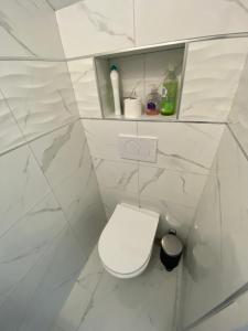 baño con aseo blanco en una habitación en Maison vue mer st anne du Portzic en Brest