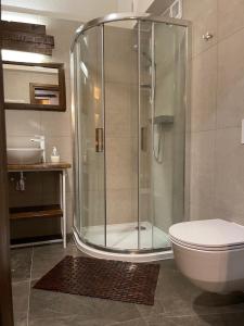 a bathroom with a shower with a toilet and a sink at APARTAMENT KAUKAZ in Szczawnica +21 photos