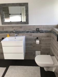 La salle de bains est pourvue d'un lavabo, de toilettes et d'un miroir. dans l'établissement FeWo Im Grünen, à Lilienthal