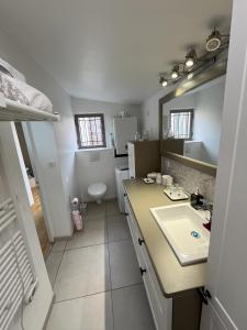 un bagno con lavandino e WC di Little Home a Sainghin-en-Mélantois