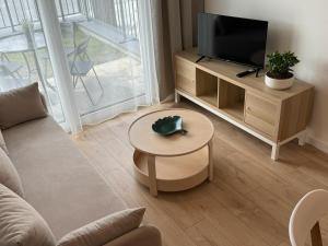 sala de estar con sofá y TV en Apartament Przystań 1, en Kartuzy