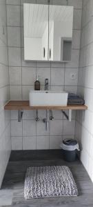 a bathroom with a sink and a mirror and a rug at Gästehaus Fechtig in Hergensweiler