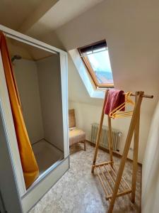 Zimmer im Dachgeschoss mit Glasdusche und Leiter in der Unterkunft Au jardin de la Maison des Soeurs in Mutzig