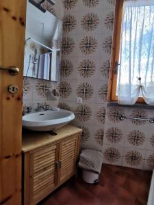 uma casa de banho com um lavatório e um espelho em La Casetta degli Gnomi em Faidello