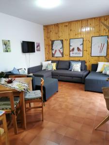a living room with blue couches and a tv at La Casetta degli Gnomi in Faidello