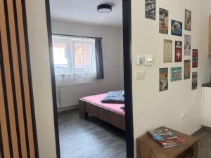 espejo en una habitación con cama y ventana en Apartmán Horalka 7 v Peci pod Sněžkou, en Pec pod Sněžkou